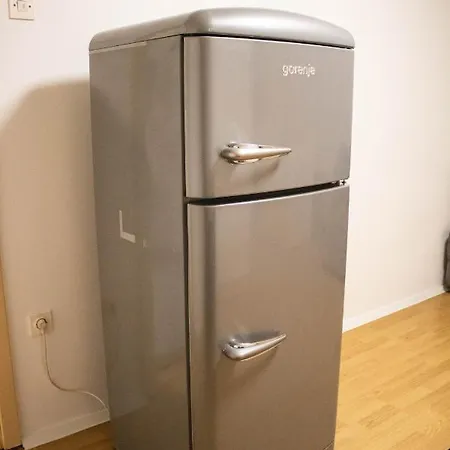 Small Affordable Apartment In Siska District Λιουμπλιάνα